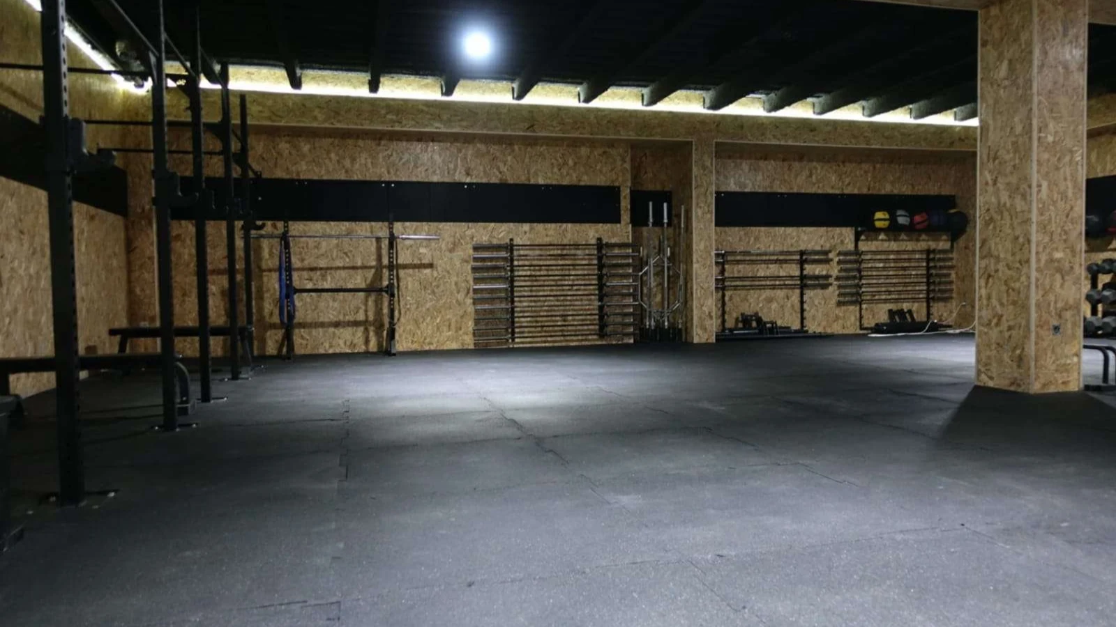 Maniak Fitness – Convertix case study, image 1